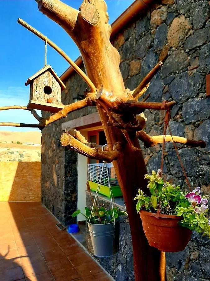 Agriturismo El Bounty1 プエルト・デル・ロサリオ